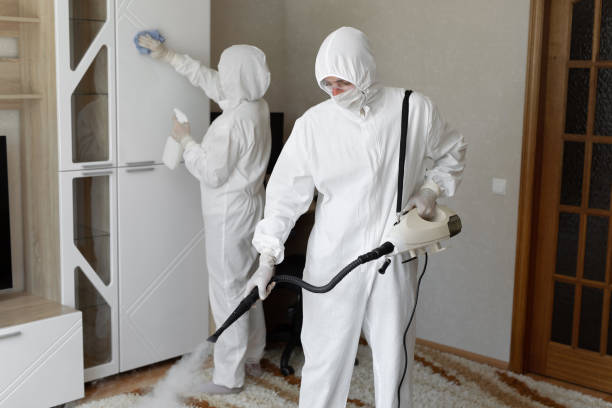 Best Basement Mold Removal  in Manawa, WI